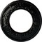 Ekena Millwork Salem Ceiling Medallion (Fits Canopies up to 7 1/8"), 13 1/4"OD x 7 1/8"ID x 7/8"P, Black Pearl CM13SABPS - alternate 1